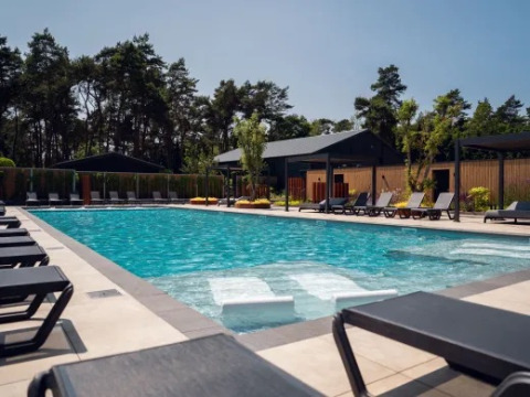 Udendørs swimmingpool med liggestole ved Holiday park «Molenvelden» i North-Brabant, Holland om sommeren.