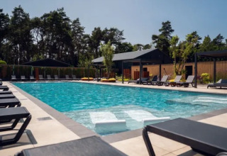 Swimmingpool im Ferienpark «Molenvelden» in Nordbrabant, Niederlande, umgeben von Liegestühlen und Bäumen.