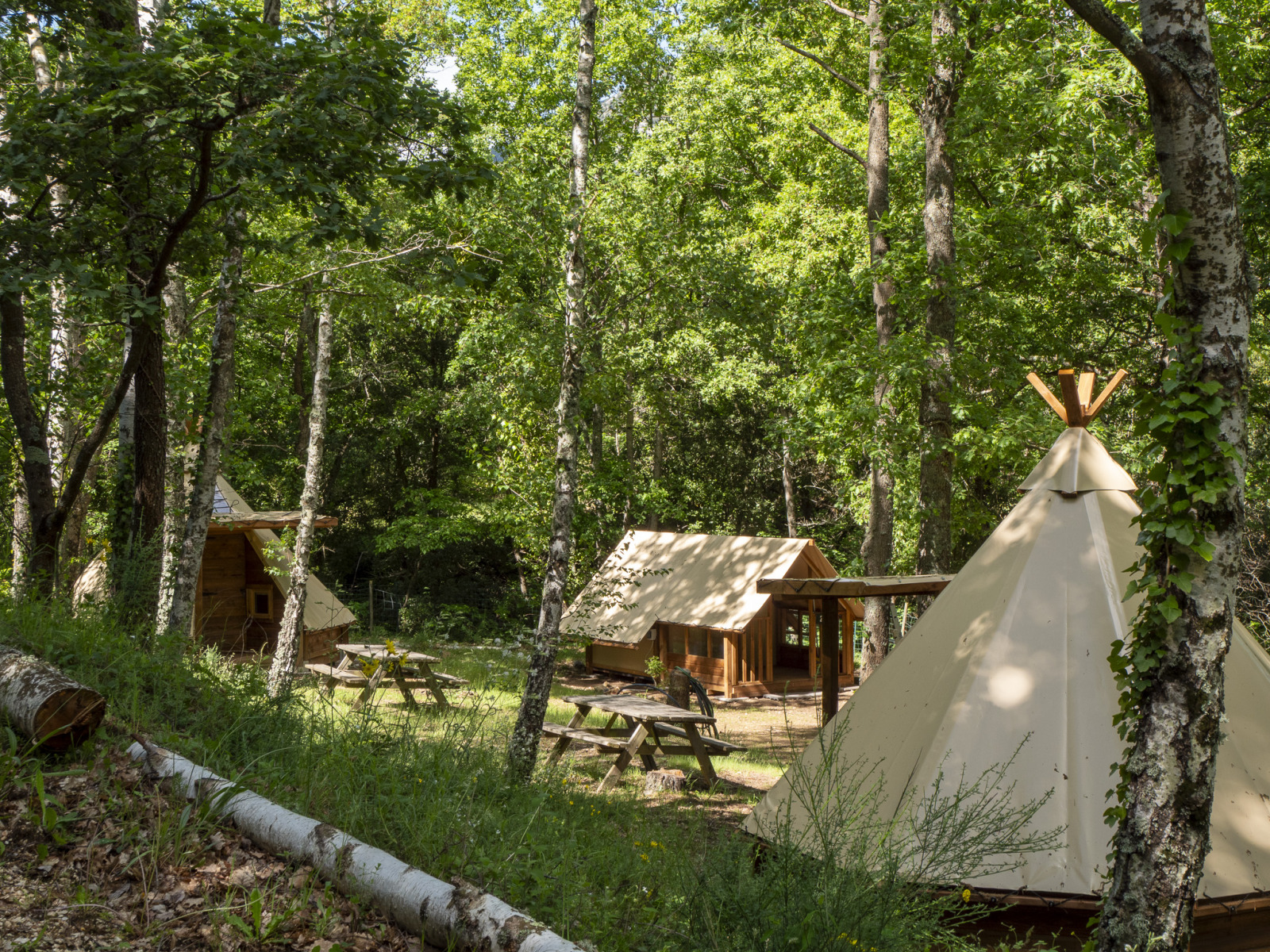 Moderne tipitenten op Campsite Des Randonneurs in Frankrijk, omringd door bos en houten picknicktafels.