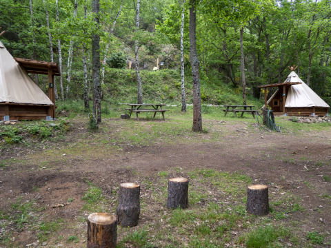 Twee moderne tipitenten en picknicktafels in het bos bij Camping Des Randonneurs, Frankrijk, met boomstronken.