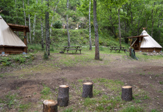 Twee moderne tipitenten en picknicktafels in het bos bij Camping Des Randonneurs, Frankrijk, met boomstronken.