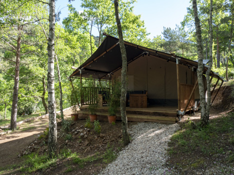 Tenda Safari Lodge immersa in una foresta verde, circondata da alberi e sentiero di ghiaia verso la veranda.