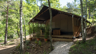 Tenda Safari Lodge immersa in una foresta verde, circondata da alberi e sentiero di ghiaia verso la veranda.