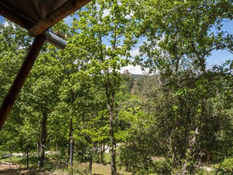 Uitzicht vanuit de Safari Lodge LUXE tent op Camping Des Randonneurs in Frankrijk, omgeven door bomen