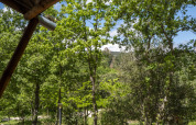 View from the Safari Lodge LUXE tent at Campsite Des Randonneurs in France, surrounded by lush trees