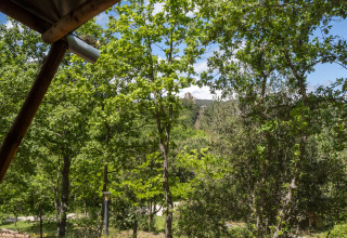 Vista dalla tenda Safari Lodge LUXE al Campeggio Des Randonneurs in Francia, circondato da alberi verdi
