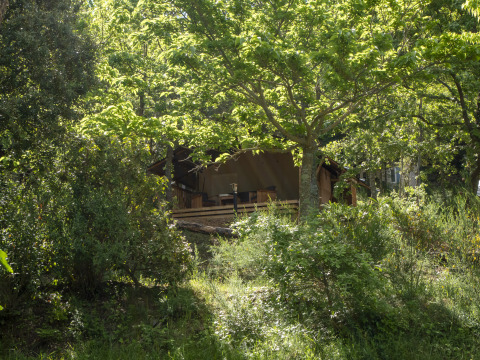 Safari Lodge LUXE immersa nel verde al campeggio Des Randonneurs in Francia, circondata da piante e alberi.