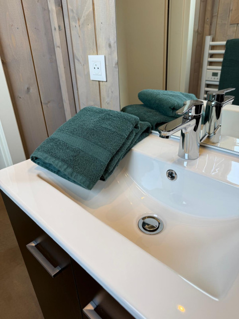 Lavandino con asciugamani verdi al Mobi Lodge, Arden Parks Tulderheyde, Belgio, bagno in legno.