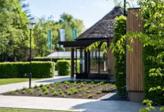 Holiday park «Molenvelden» in North Brabant, Netherlands with landscaped garden, greenery, and modern cabin.