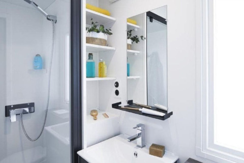 Moderne badkamer met douche, wasbak, spiegel en rekken met planten en toiletartikelen, lichte uitstraling.