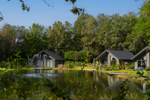 Chalets près d’un étang avec fontaine au parc de vacances Latour, North-Brabant, Pays-Bas, entourés de nature.