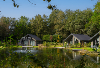 Huisjes aan een vijver met fontein in vakantiepark Latour in Noord-Brabant, Nederland, omringd door natuur.