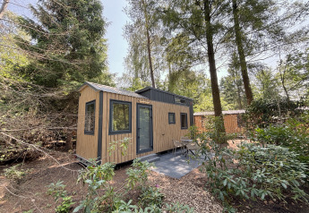 Tiny House al Parco Ricreativo de Paalberg, Paesi Bassi, immersa tra alberi e patio con sedie all’aperto.