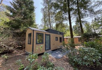 Tiny House au parc de loisirs de Paalberg, Pays-Bas, entourée d’arbres et d’une terrasse extérieure avec chaises.