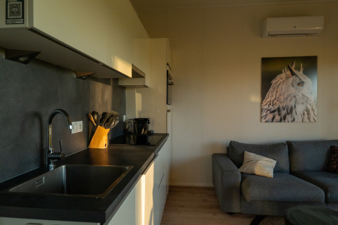 Cuisine moderne et salon avec canapé gris et tableau de hibou sur le mur dans un lodge confortable.
