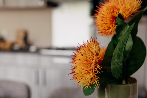 Nahaufnahme von orangefarbenen Blumen in einer Vase im Luxus-Chalet im Erholungspark De Achterste Hoef, Niederlande.