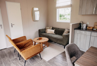 Salon moderne dans un chalet de luxe au parc De Achterste Hoef, Pays-Bas, avec une ambiance chaleureuse.