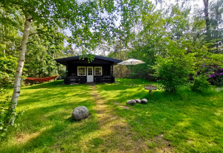 Houten hut, hangmat en parasol in het groene Outdoors Holten vakantiepark in Overijssel, Nederland.