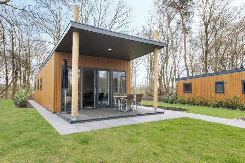 Modernes Holz-Lodge mit überdachter Terrasse und Gartenmöbeln bei Tolplas in den Niederlanden, naturumgeben.