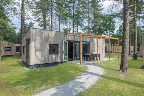 Moderne Timber Cottage 6 tiny house blandt høje træer, med udendørs spiseplads og grønne omgivelser.