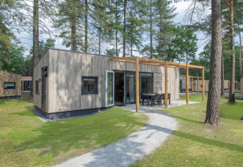 Moderne Timber Cottage 6 tiny house blandt høje træer, med udendørs spiseplads og grønne omgivelser.