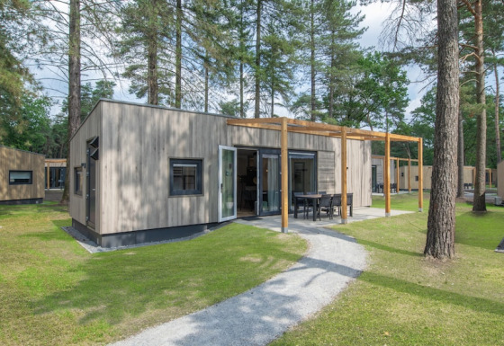 Moderne Timber Cottage 6 tiny house blandt høje træer, med udendørs spiseplads og grønne omgivelser.