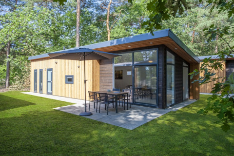 Modern Lodge 6 tiny house featuring a wood exterior, large windows, and patio in a lush forest setting.