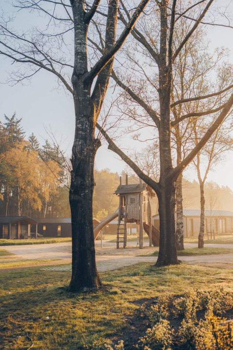 Glamping site with a wooden playground among trees, cabins nearby, bathed in soft early morning light.