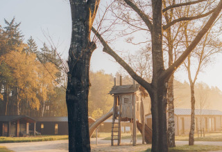 Glamping site with a wooden playground among trees, cabins nearby, bathed in soft early morning light.