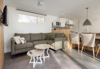 Sala en Chalet Comfort 6 de Hunzepark, Países Bajos, con sofá moderno, comedor y cocina integrada.
