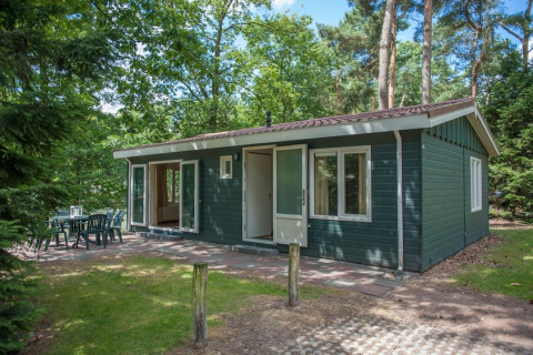 Et hyggeligt grønt WVR6-chalet i en skovrig natur, med havemøbler på terrassen en solrig dag.