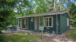 Charming green WVR6 chalet surrounded by forest, with outdoor seating area and open patio doors on a sunny day.