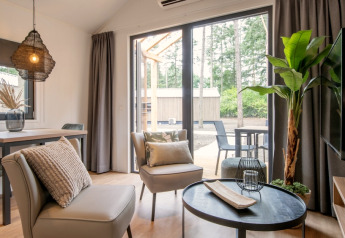 Modernes Wohnzimmer im Tiny House 2 mit großen Fenstern, gemütlicher Einrichtung und Waldblick in Bospark 't Wolfsven.