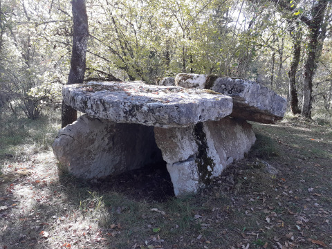 Stenen structuur in het bos bij Reyrevignes, Occitanië, Frankrijk, mogelijk een prehistorische dolmen.