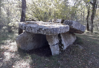 Stenen structuur in het bos bij Reyrevignes, Occitanië, Frankrijk, mogelijk een prehistorische dolmen.