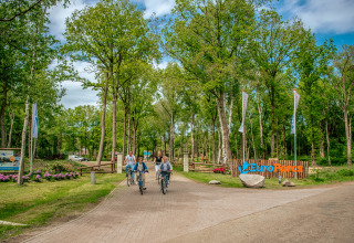 Gezinnen fietsen bij de ingang van EuroParcs Ruinen, Velthorst Lodge, omringd door een groene bosrijke omgeving.