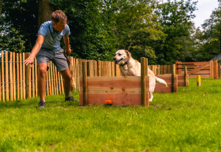 Man traint een labrador die over hindernissen springt bij lodge «Velthorst» in EuroParcs Ruinen, Nederland.