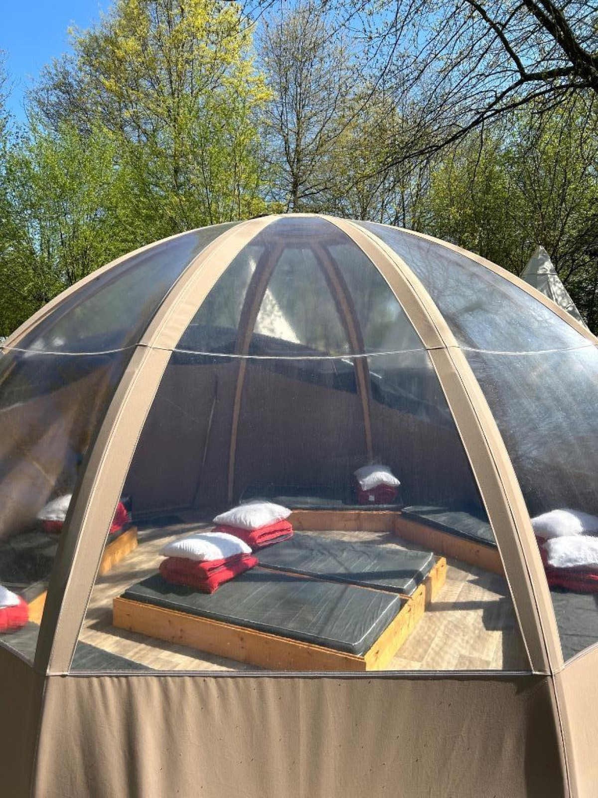 Transparent Bell natuurhuis bij Camping les Rives de Grand Lieu, met kussens in een heldere koepeltent en bomen eromheen.