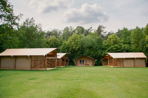 Safari tent at Baalse Hei, Belgium, featuring spacious canvas lodges on a grassy field surrounded by trees.