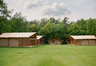 Safari tent at Baalse Hei, Belgium, featuring spacious canvas lodges on a grassy field surrounded by trees.