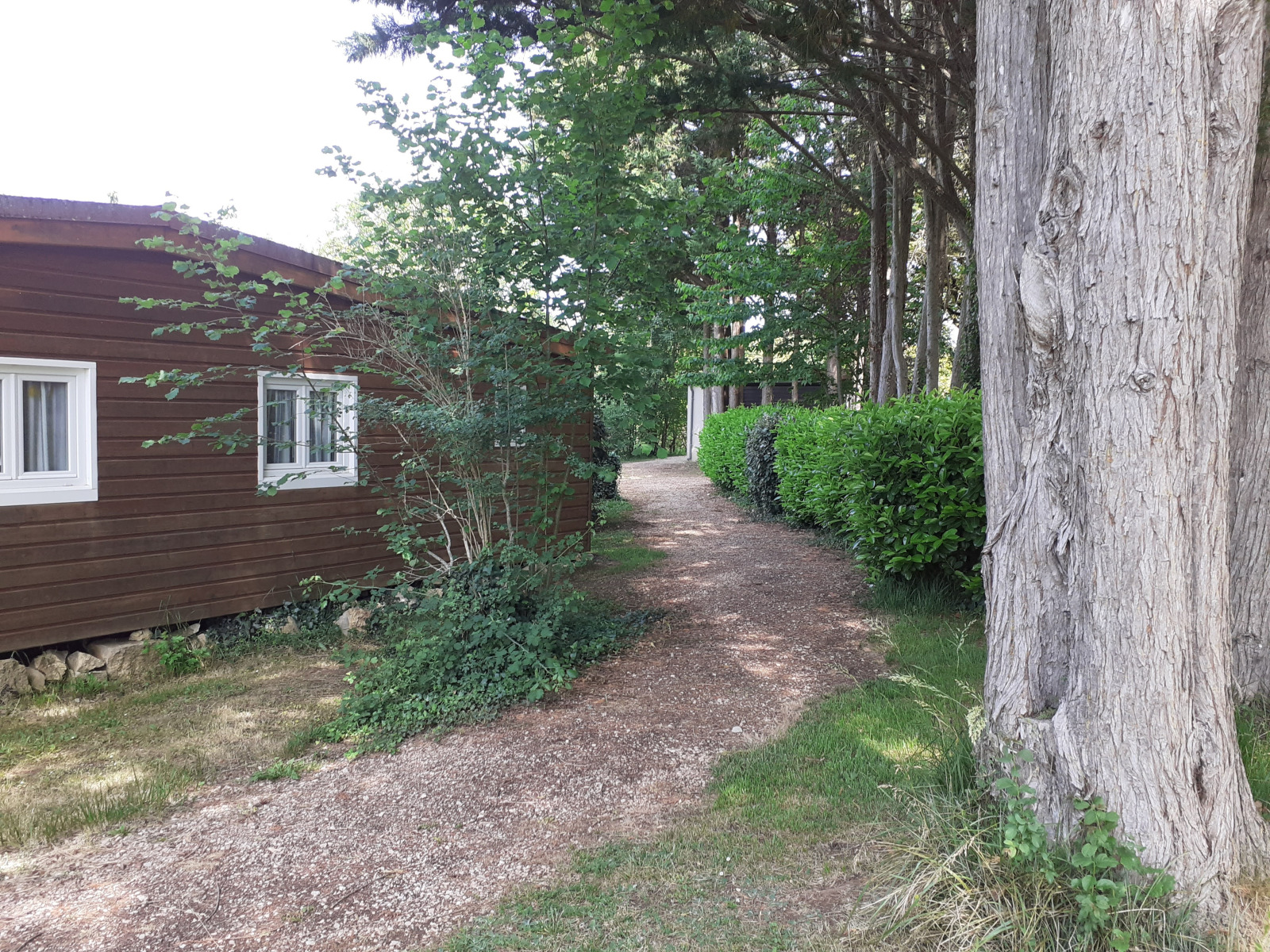 Pad bij Chalet Etoilé in Domaine Papillon, Frankrijk, omgeven door bomen, groene hagen en een houten chalet.