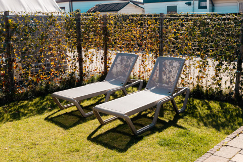 Two sun loungers on a lawn at Wilbrinkchalet, Recreation park De Boshoek, Netherlands, beside a leafy fence.