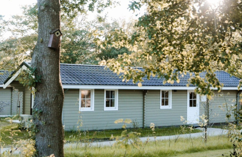 Zonnig beeld van een gezellige lodge met grijze gevel, omgeven door groen en een vogelhuisje aan een boom.