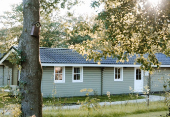 Sunny photo of a cozy lodge with a gray exterior, surrounded by greenery and a birdhouse on a tree.