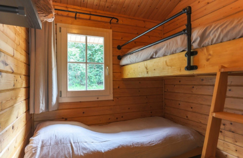 Cozy lodge room with wooden walls, a bunk bed, and a window offering a green view outside in daylight.