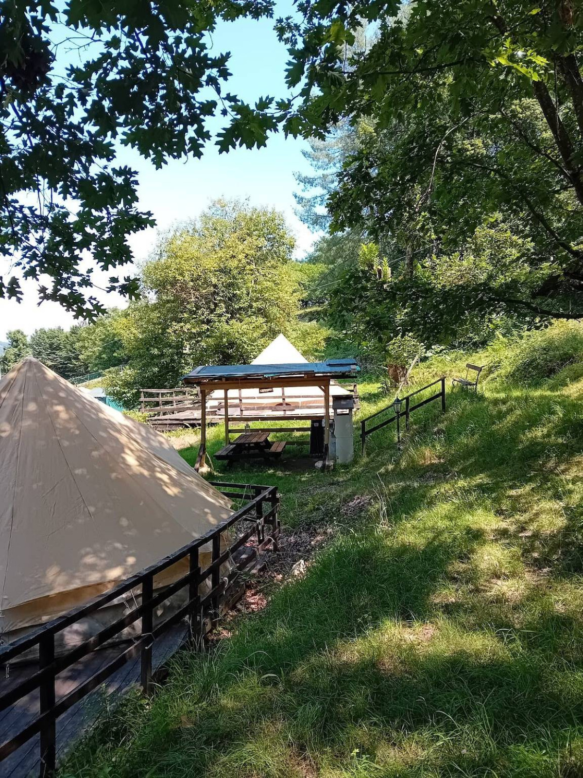 «C Selva Tenda Quercia»