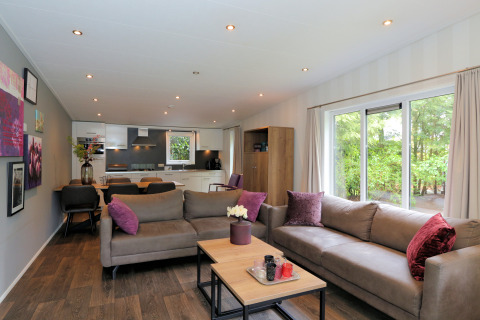 Modernes Wohnzimmer und Küche in L-Pavilion 6 in De Achterhoek, Niederlande, mit großen Fenstern.