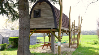 Boomhut genaamd Treelodge, verhoogd tussen de bomen, met trap en hangmat eronder in het groen.