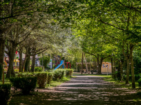 Sunny playground with swings and a slide among lush trees at Flower Camping Le Pont du Tarn, Occitanie, France.