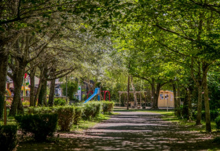 Heller Spielplatz mit Rutsche und Schaukeln im Grünen, aufgenommen im Flower Camping Le Pont du Tarn, Frankreich.